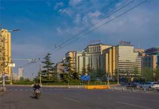 什么是取石网篮大概费用