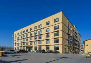 有希望的大连学环艺归属感